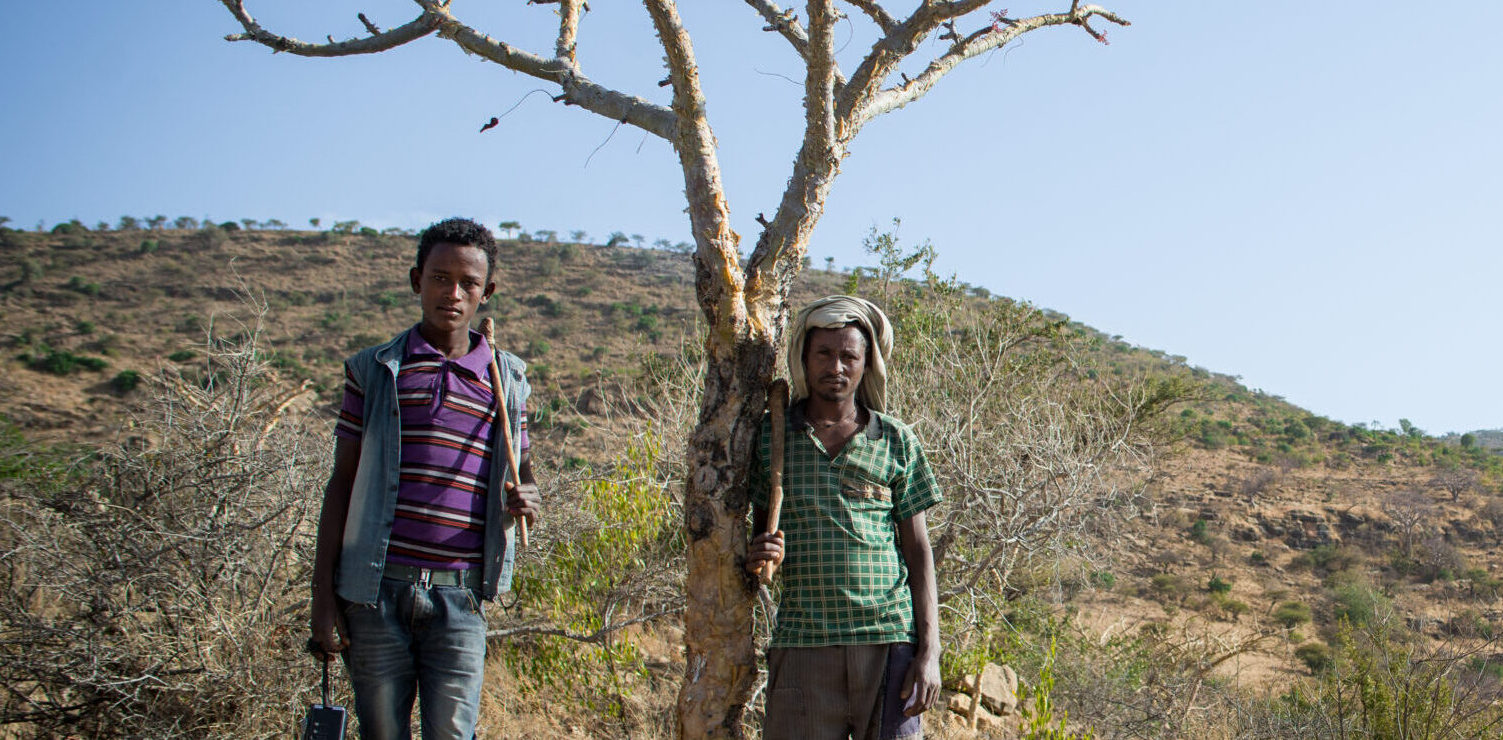 EthioTrees Dryland Restoration Project (Tigray, Ethiopia)